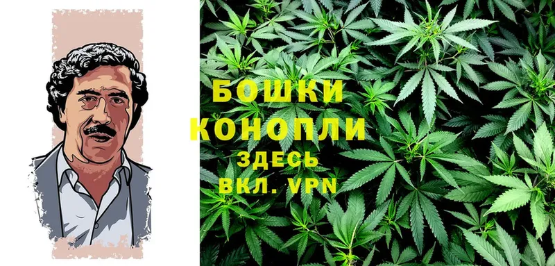 Бошки Шишки THC 21%  блэк спрут ССЫЛКА  Курск  магазин   